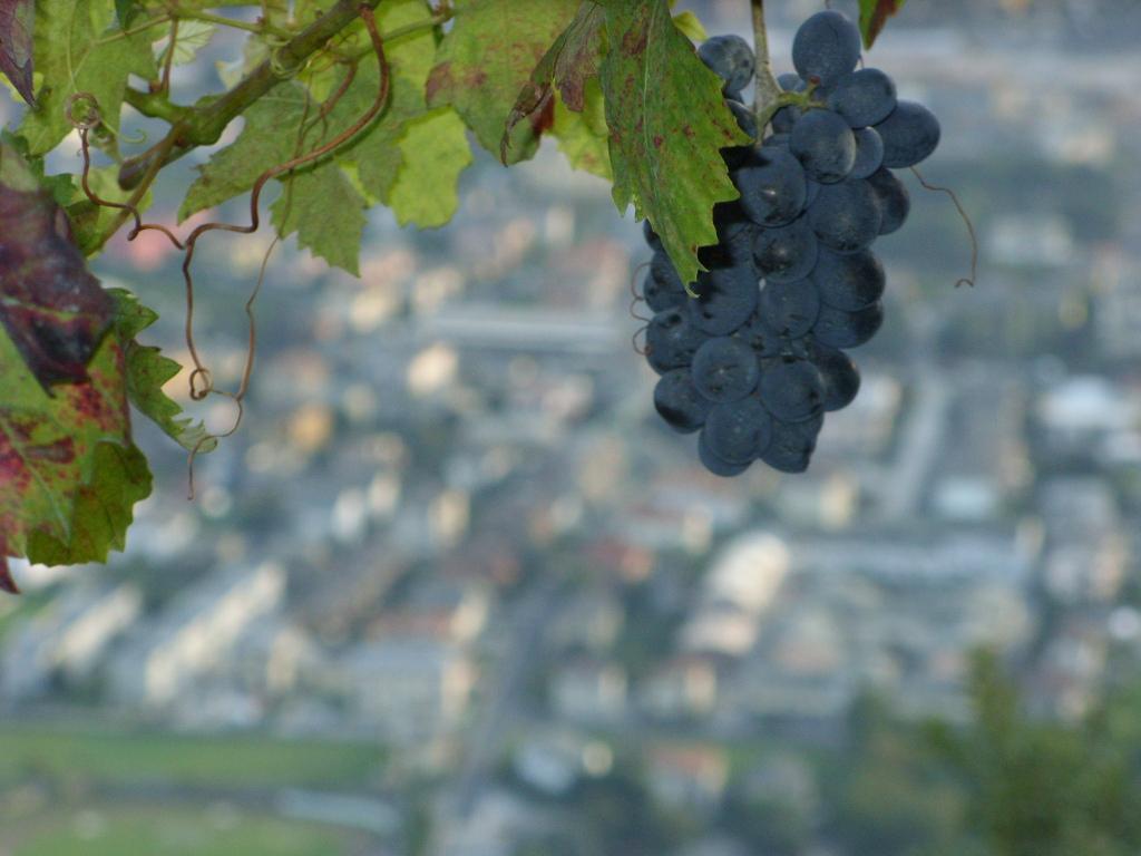Civo Agriturismo Da Ysy מראה חיצוני תמונה